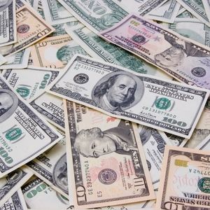 Meet your Posher, Mikey